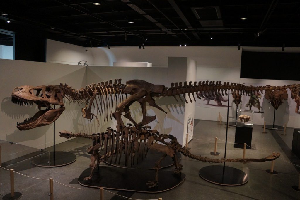 Dinosaur rEvolution exhibition