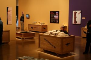 Dinosaur Eggs and Babies exhibition