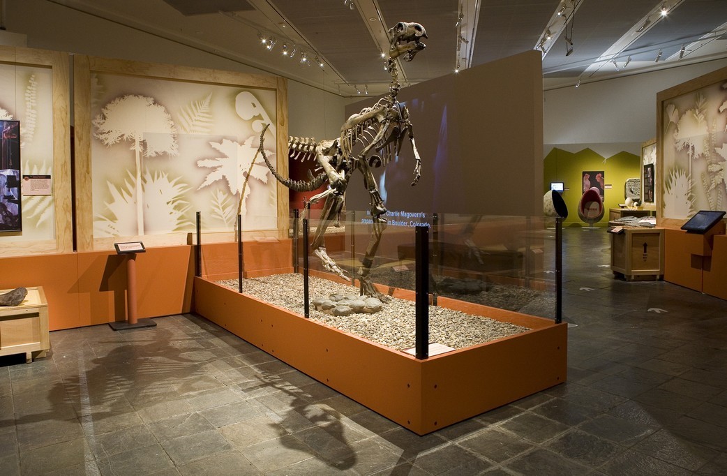 Kansas Children's Discovery Center dinosaur exhibit has fossils, eggs