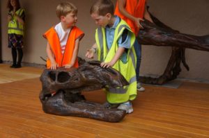 Dinosaur skeleton cast