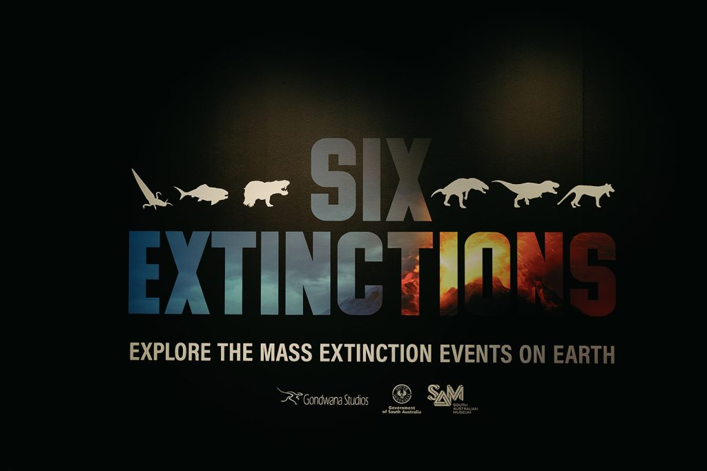 Exhibition - Six Extinctions